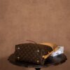 Louis Vuitton CARRYALL小号手袋 29x24x12cm  M46203