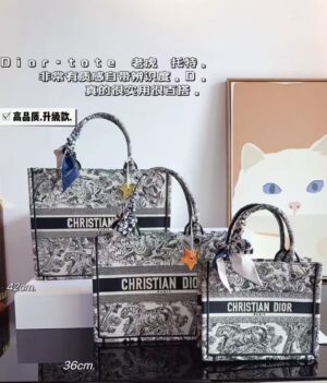 DIOR To te中号托特包