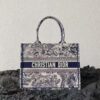 DIOR To te中号托特包