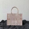 DIOR To te中号托特包